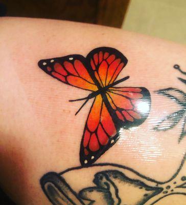 Color tattoo butterfly