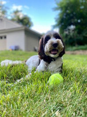 Hanging in with her favorite toy