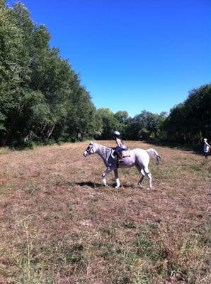 Pasture playtime!