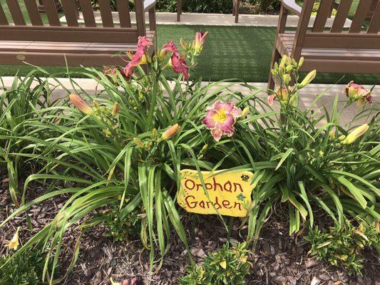 Community garden