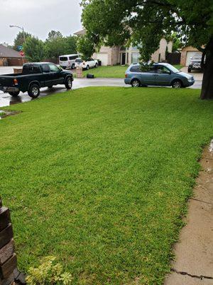 Soils Alive Organic Lawn Care