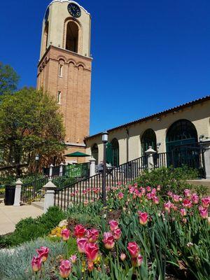 Springtime at the visitors center