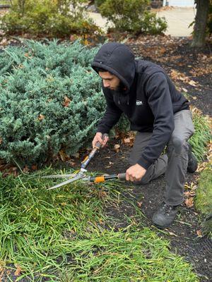 Fall Cleanup