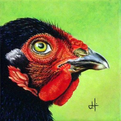 Acrylic Painting - Cockerel Series