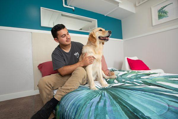 Want a tour to see where your pup will be staying? Stop by any day between 10 AM and 6 PM, no reservation needed.