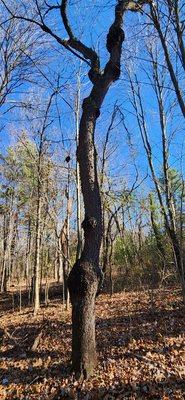 Mirror Lake State Park