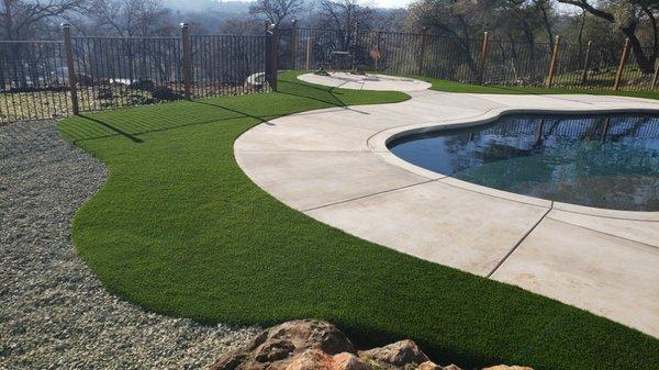 Beautiful new lawn off active family's pool area in Grass Valley CA.