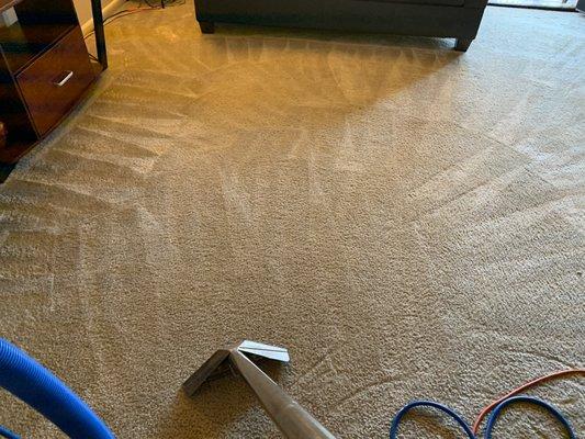 Carpet cleaning