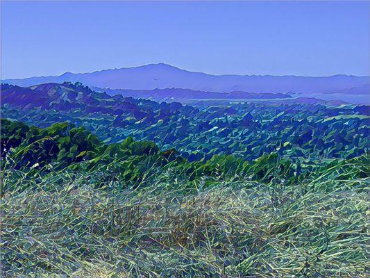 View of Mt. Tam