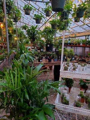 Greenhouse