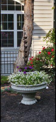 I love my beautiful fountain and the relaxing sound of my fountain.