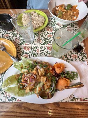 Yum Tofu Salad, and Panang Curry.