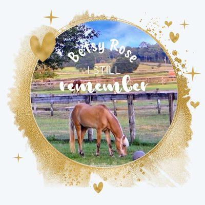 Beauty’s Haven Farm and Equine Rescue