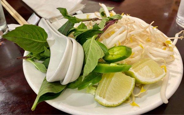 Toppings for Pho. Mint leaves were dehydrating/wilting.