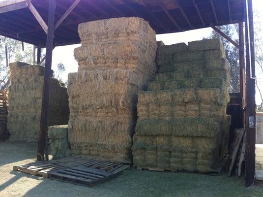 Alpha alpha and Bermuda grass hay feed for cattle