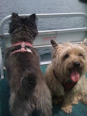 Tuffy and Splash take a ride on our boat