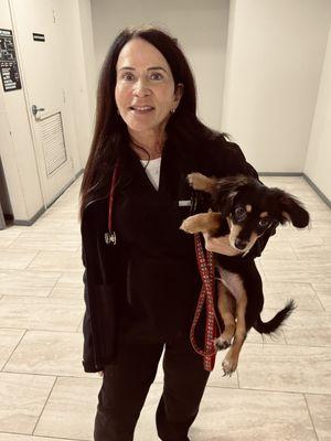 Dr Kent examining Phil at his first puppy visit