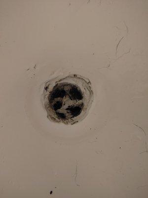 The sole tub drain in a four winds "ready to rent" unit. They poured paint down the drain, encasing human hair from the previous tenant.