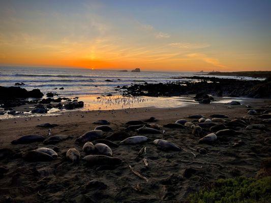 Awesome sunset views from the vista point boardwalk