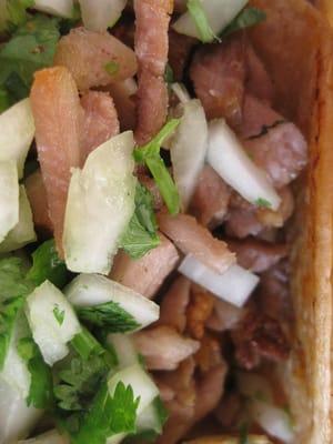 Taco de Carnitas