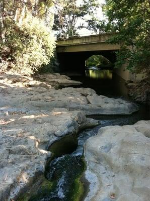 Stenner creek access from the park!