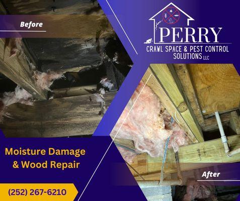 Perry Crawl Space & Pest Control Solutions