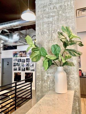 I'm a sucker for industrial interiors with plants!