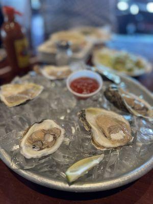 Oysters