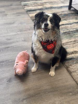 Blu & his "baby" Wilbur the pig