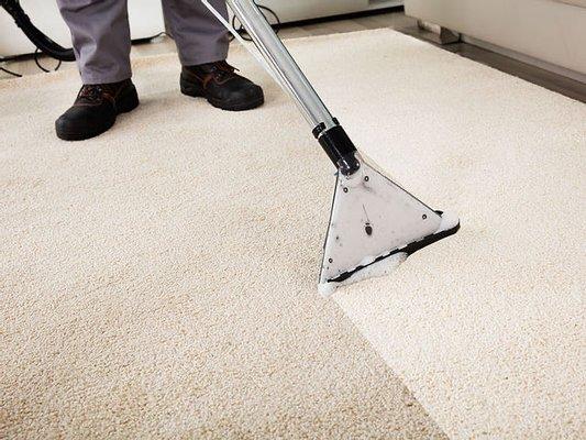 A1 Pro Clean Carpet & Upholstery Cleaning