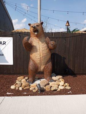 This bear stands out front