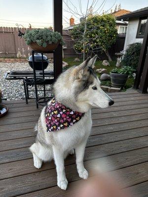 Kato looking handsome