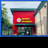 Auntie's Playhouse Childcare Center, LLC