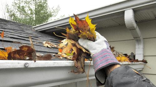 Do your gutters look like this?