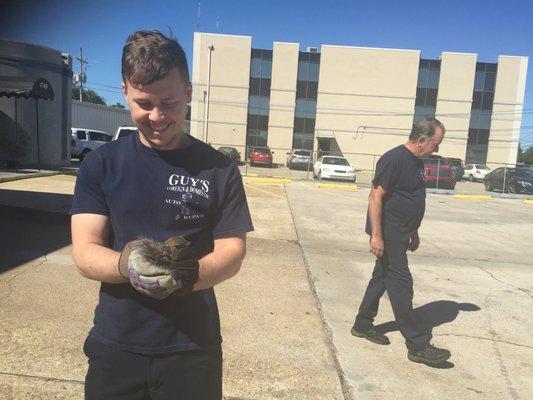 Getting a squirrel out from under my hood. They were definitely troopers and made sure the squirrel was ok.