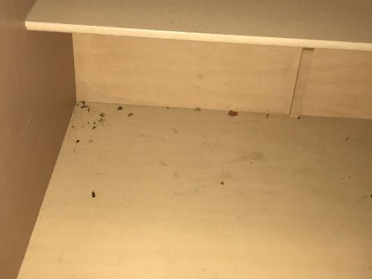 The cupboards full of roach poop and roach carcasses, among other things. Disgusting and unsanitary living.