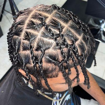 Starter Locs