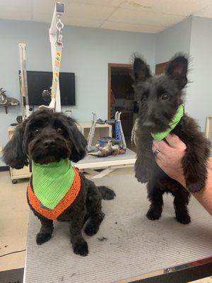 Gus and Riley after their cuts