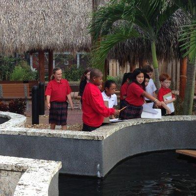 The Environmental Education Center at American Heritage Schools gives children the opportunities to learn about animals and science.