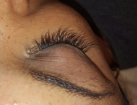 Semi-Permanent lash Extension