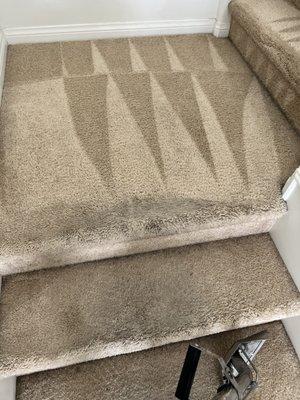 Carpet steam cleaning