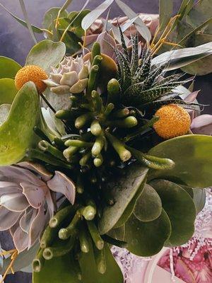 Succulent bouquet from the top, as delivered!