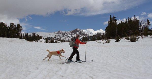 Waya skiing