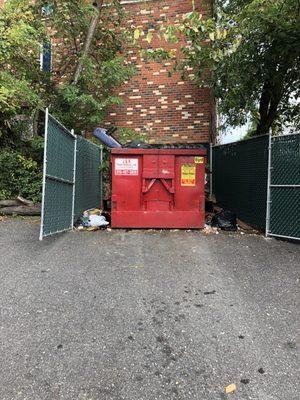 Dumpster on a good day