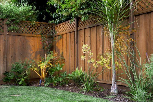 Use Accent lights to highlight your favorite plants