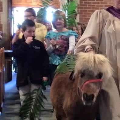 No Palm Sunday parade is complete without "Crackerjack" our miniature horse, errrrrr...donkey