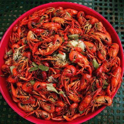 Tray of hot boiled crawfish