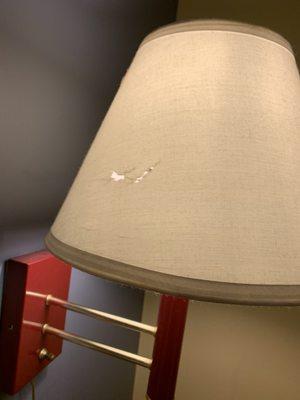 Broken lamp shade