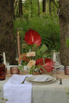 Royal red anthurium