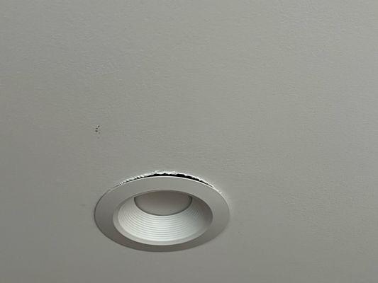 One more damaged by Hunter's flooring light fixture